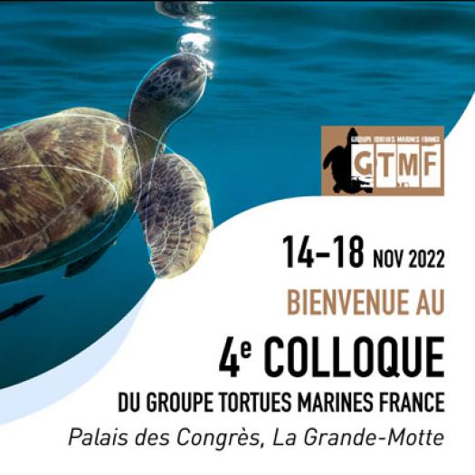 colloque_gtmf_2022-vignette