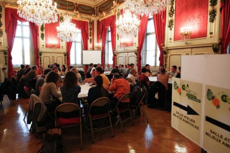 Assises nationales insectes pollinisateurs