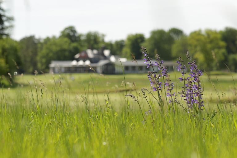 golf-de-chantilly-or.jpg