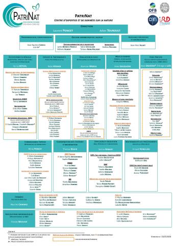 Organigramme 15 07 2024