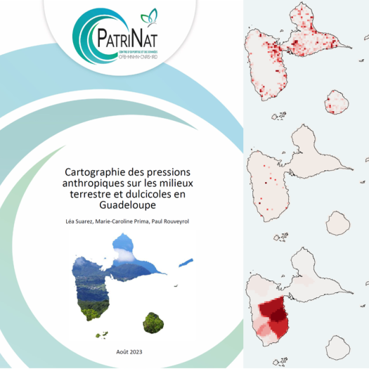 Couverture rapport pressions milieux terrestres guadeloupe