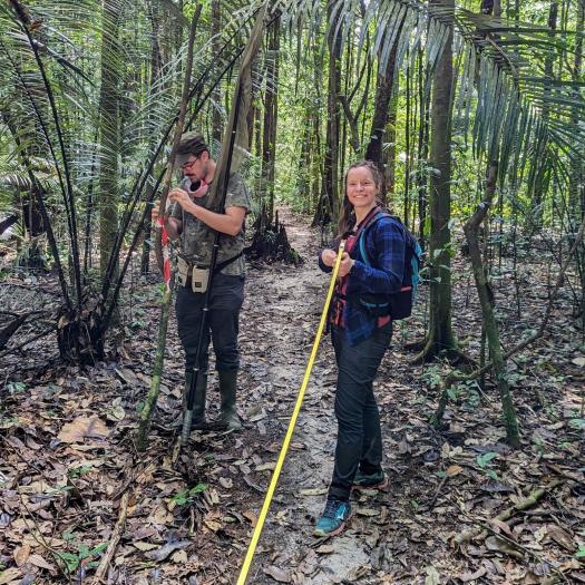 Mise en place de transects de suivis des papillons Guyane_M. Ghislain