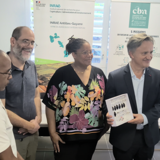 Dépot specimen - J Gerard Arbig