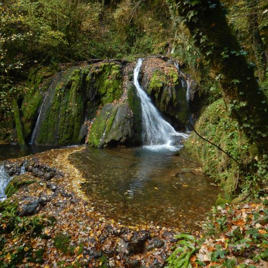 ZNIEFF des Falaises de Sur Châtillon © Guillaume Gayet