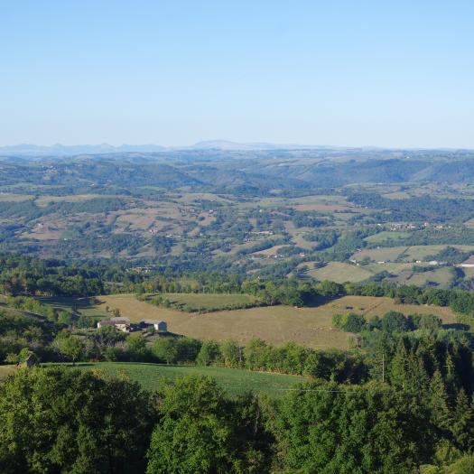 Réseau de haies en Aveyron