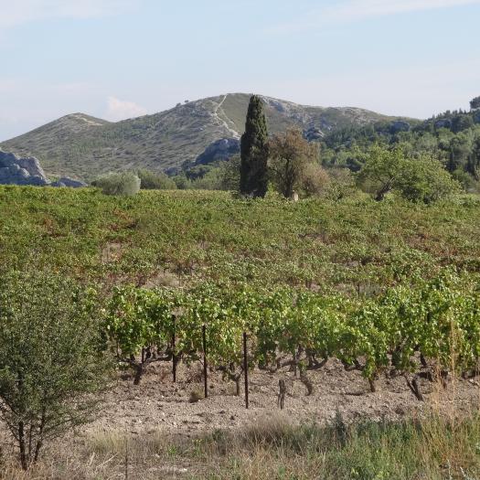Alpilles