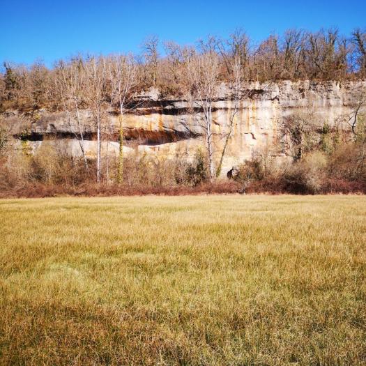 Prairie humide sur le site de l'Observatoire, aux abords de la Grande Beune © G. Gayet