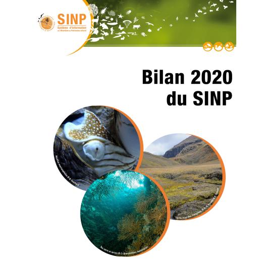 bilan_sinp_2020