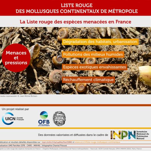 infographie-liste-rouge-mollusques-continentaux-metropole-2021-part3.jpg