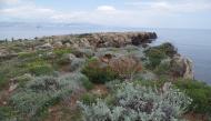 Natura2000 Baie et Cap d'Antibes - îles de Lérins