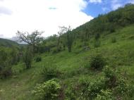 Pelouse sèche sur calcaire Lande de Borie - Louise Barbeau