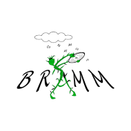 Logo BRAMM