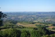 Réseau de haies en Aveyron