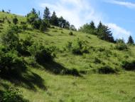 Pelouse calcicole - Massif des Bauges © Paul Rouveyrol