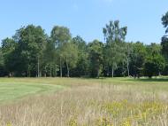 Golf de Chantilly- Aurélie Lacoeuilhe.jpg