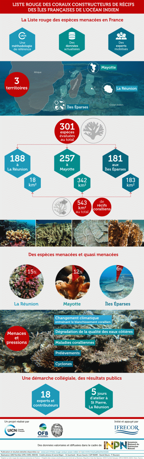 Infographie Liste rouge des coraux de l'océan Indien 