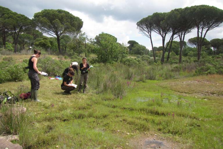 Évaluation de l’état de conservation de mares temporaires méditerranéennes © Philippe Gourdain 