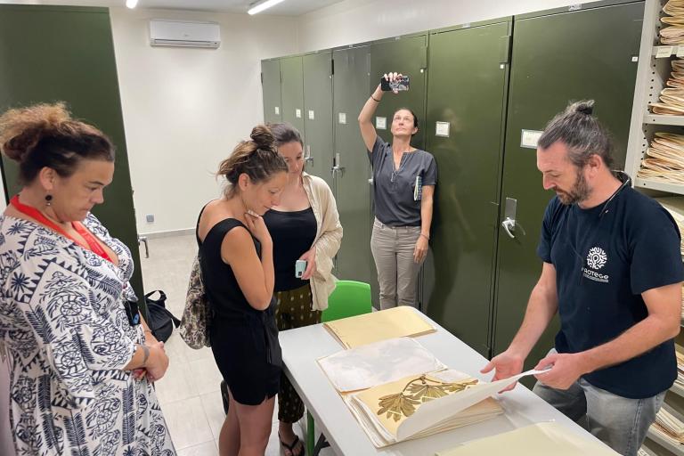 Visite de l’herbier de Polynésie française, Musée de Tahiti et des îles © G. Gigot
