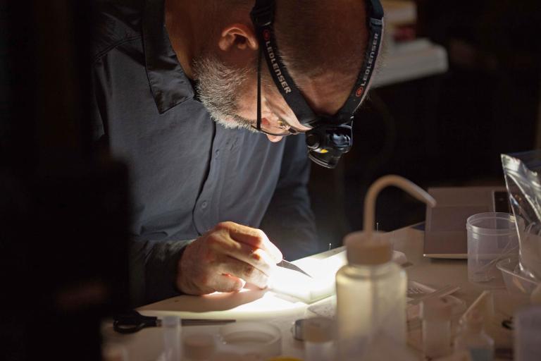 Travail au laboratoire_Terre_de_bas_011024_credit Le_gobie