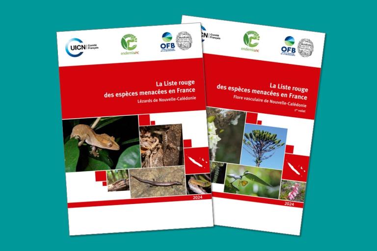 Fascicule Liste rouge lézards flore de Nouvelle-Calédonie