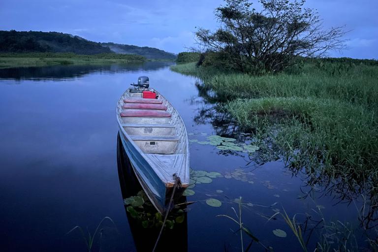Marais de Kaw © G. Gigot