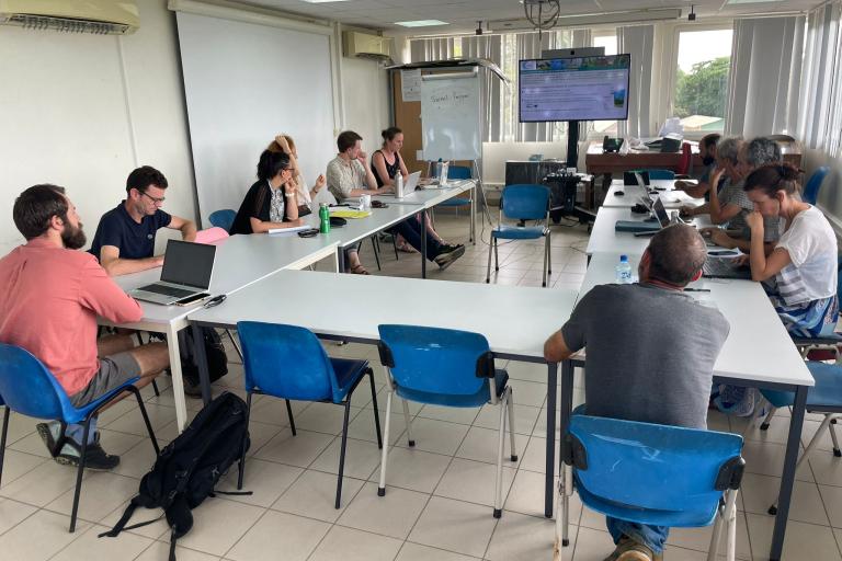 Ateliers Surveillance et espèces à enjeux – DGTM, Cayenne © G. Gigot