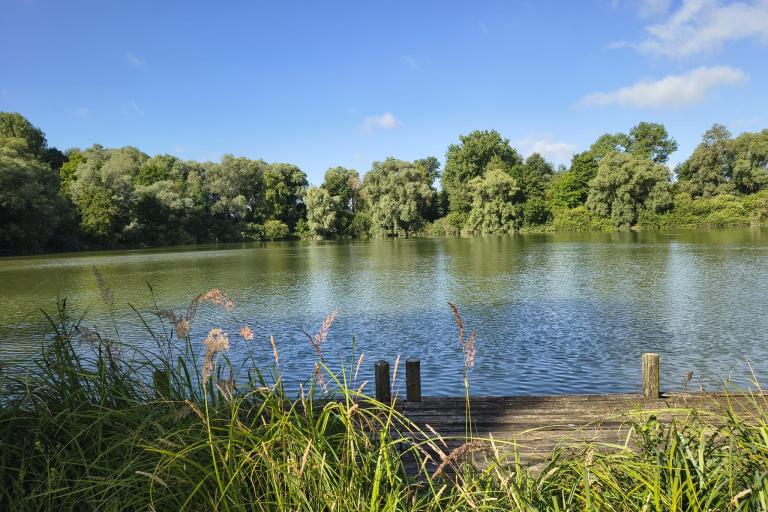 Domaine du Paraclet - Fouencamps - Violette Lervy-Mayère