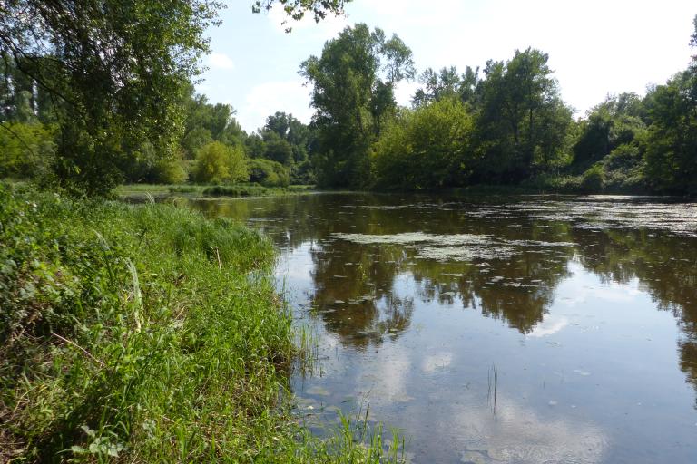 Etang Gourd Jaune, Ecopôle du Forez - Chambéon (42)