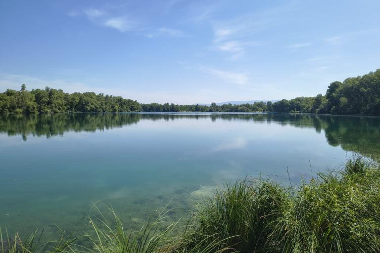 Etang des Brotteaux - Priay (01)