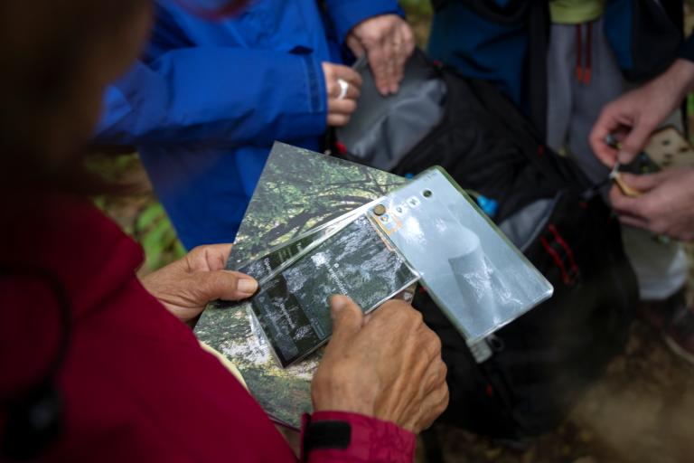 Sur les traces de Flora