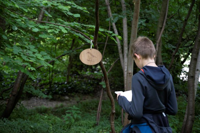 Sur les traces de Flora