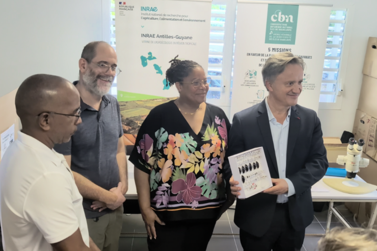 Dépot specimen - J Gerard Arbig