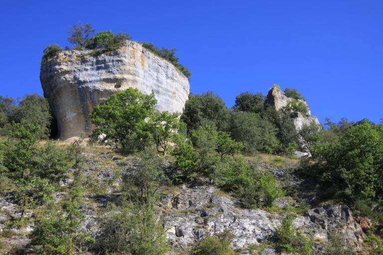 coteaux_calcaires_dordogne_jean-claude_abadie_cbn_sa.jpg