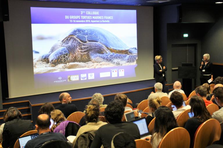 photo_3deg_colloque_du_gtmf.jpg