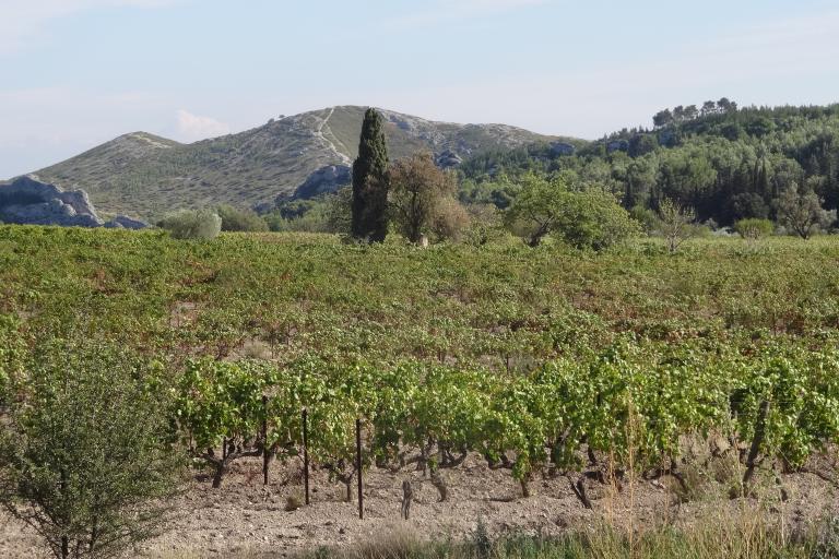 Alpilles