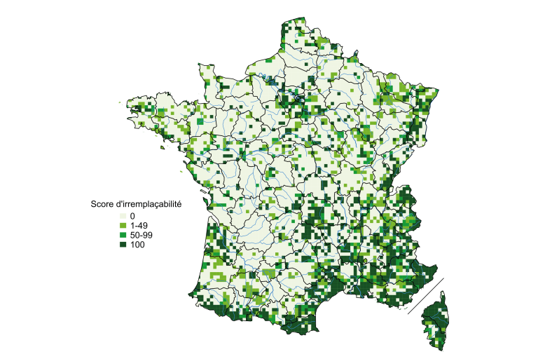 Contribution globale biodiversite
