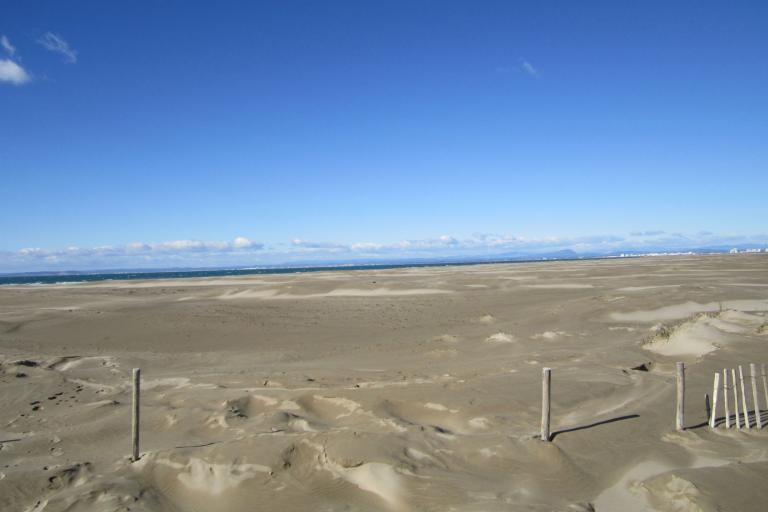 Dunes mobiles embryonnaires méditerranéennes © P. Rouveyrol