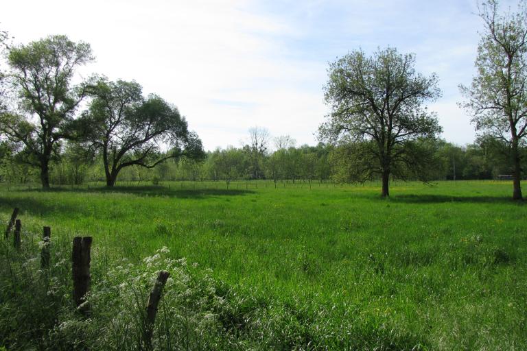 Vallée de la Charente en amont d'Angoulême - Justine Coulombier