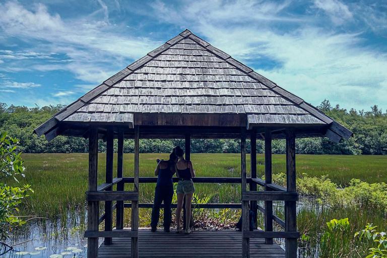 marais-de-la-piste-de-lanse-a-sinnamary-en-guyane_manon-ghislain
