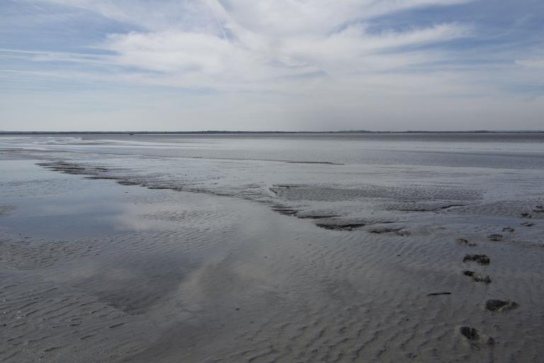 Replats boueux ou sableux exondés à marée basse © M. La Rivière