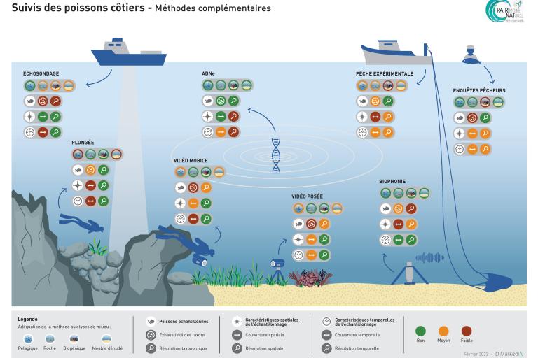 infographie_mnhn_220419_bd.jpg