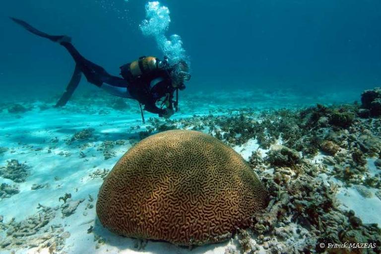antilles6.jpg